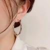 Pendientes elegantes estilo Hong Kong 2024 nuevos de moda lujo ligero aguja de plata s925 círculo grande moda versátiles pendientes de círculo de celebridad de internet