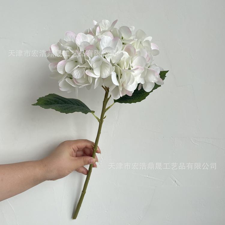 微信图片_202208191624155_副本