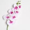 Flor artificial 7 rolos de filme de núcleo Phalaenopsis Palco T layout flor casamento caminho decoração de casa atacado transfronteiriço