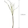 Rama muerta vid de árbol espumoso planta de simulación rama de coral accesorios para arreglos florales decoración de boda accesorios de fondo para sesión de fotos