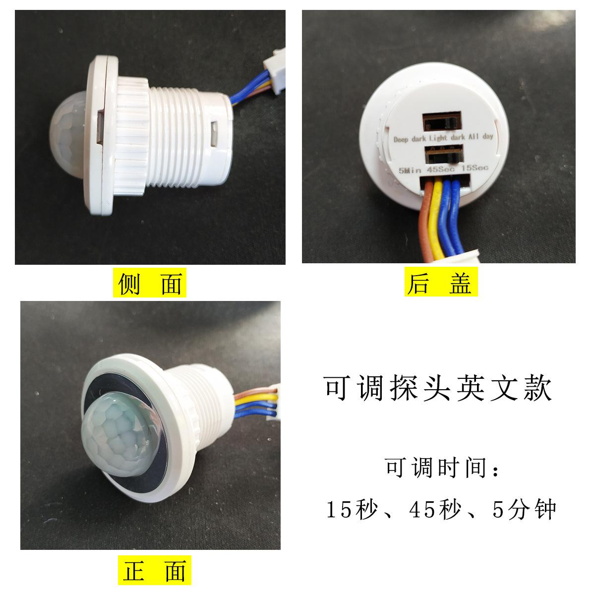 英文可调探头1