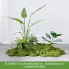 Simulación Planta Verde Paisajismo Planta Paisaje Combinación Adornos Exterior Maceta Alta Gama Lujo Ligero Flor Artificial Interior Piso Maceta