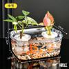Caja de Almacenamiento de Escritorio Tanque de Peces Transparente Tanque Pequeño para Peces Dorados Paisajismo del Hogar Arreglo Floral Oficina Mini Tanque para Tortugas