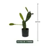 Cacto Cacto Em Vaso Plantas Verdes Falsas Tropicais Paisagismo de Deserto Plantas Verdes Falsas Enfeites Decorativos de Cacto