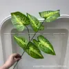 Monstera Planta Verde Vaso Floreira Caixa de Flores Decoração Folhas Falsas Folha de Taro Parede de Plantas Flor Artificial Materiais de Paisagismo