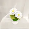 Producto Terminado Más Vendido Transfronterizo: Linda Planta en Maceta de Flor de Cerezo y Crisantemo, Regalo para el Día del Maestro, Regalo para el Día de la Madre, Regalo de Decoración para el Hogar