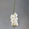 Flor Artificial Phalaenopsis Souvenir Película de Impresión 3D Alta Calidad Phalaenopsis Rizado Estilo Decorativo Exquisito Boda