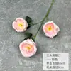 Flor de Peônia Simulada de Três Cabeças Austin Novo Produto Transfronteiriço Decoração de Mesa Coroa de Flores para Casamento Estúdio Decoração de Parede