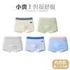 Ropa interior de algodón puro grado A para niños y adolescentes en desarrollo, niños mayores de 10 a 15 años, boxers, shorts para niños