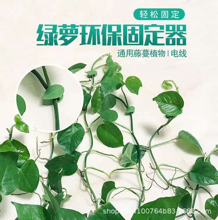绿萝固定器1_01.jpg