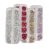 Decoraciones para Uñas de Resina de 12 Compartimentos Popular Transfronterizo Champagne Blanco Rojo Rosa Rhinestones Irregulares de Fondo Plano Accesorios para Uñas
