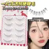 Colección de Cinco Pares de Pestañas Postizas de Longitud Completa, Pestañas Artificiales Naturales, Pestañas como de Madre, Varios Estilos de Pestañas Postizas de Una Pieza