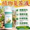 Revitalizador de Plantas Solução Nutritiva para Plantas Verdes Solução Revitalizante Promotor de Raízes Flores e Plantas Fertilizante para Flores Fertilizante Especial para Flores Solução Nutritiva Hidropônica