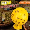 Armadilha para Mosca da Fruta, Exterminador de Pequenos Insetos Voadores, Mata-moscas para Interior, Armadilha Adesiva para Mosquitos de Cozinha, Atrativo para Moscas