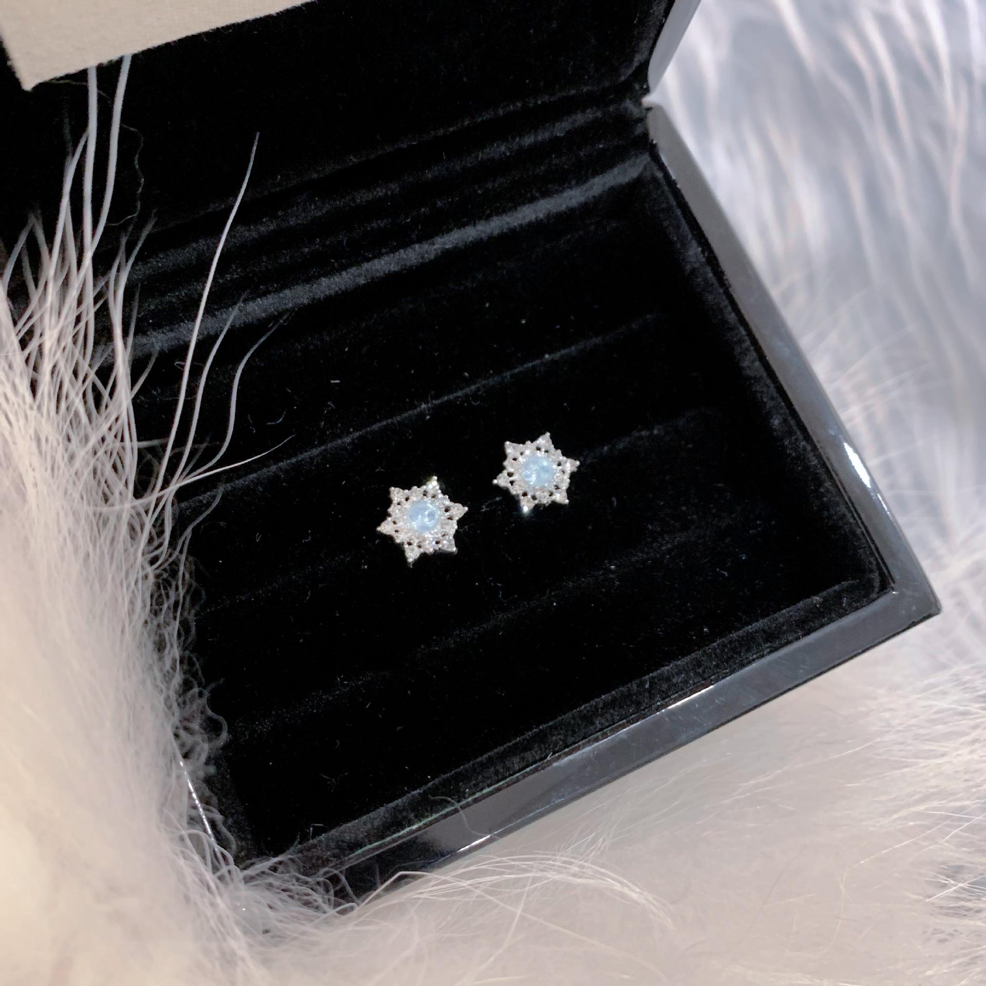 QQ图片20241215092603