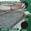 Malla Antipalomas de Nylon Negro Red de Protección para Huertos Uvas Red para Estanques Agrícolas de Acuicultura Red Antipalomas