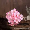 Flores Secas Violetas Estilo Nuevo Florales Hecho a Mano DIY Materiales de Flores Flores Decorativas Flores Reales Cáscara de Fruta Adornos de Flores Venta al Por Mayor