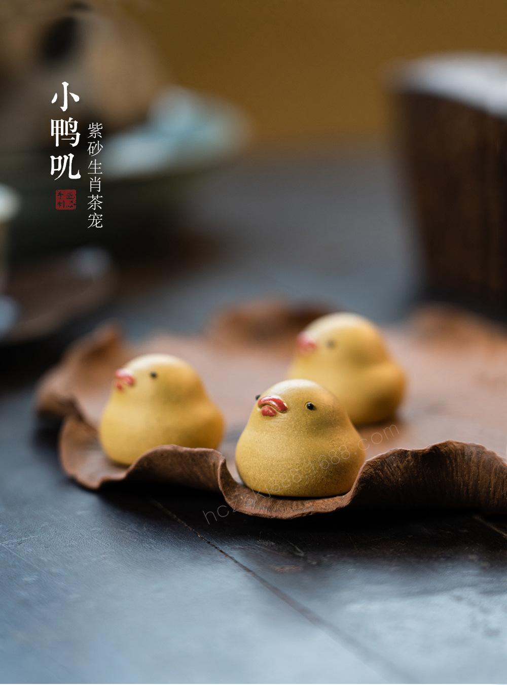 小鸭子 20220626 (2).jpg