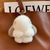 Mink Pelúcia Bonito Internet Celebrante Coelho Pendurado Mochila Escolar Feminina Boneca Pele Carro Chaveiro Bolsa Pingente