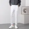Pantalones de Traje para Hombre del Territorio del Norte Otoño e Invierno con Efecto de Caída, Pantalones Rectos de Moda Estilo Coreano para Hombre, Pantalones Cropped Ajustados para Jóvenes