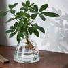 Juego de Jarrones de Vidrio Transparente de Lujo Ligero con un Toque de Alta Gama para Arreglos Florales, Jarrón de Vidrio Hidropónico Decoración de Escritorio