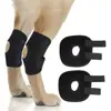 Soporte Férula para Patas de Mascota Fijación Fractura Lesión Cubierta para Pata de Perro Protector de Articulación Trasera de Gato Anti-Lamedura Articulación
