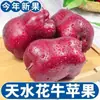 [Alta Calidad] Manzana Huaniu de Tianshui, Gansu Fruta Fresca Fruta Serpiente Rosa de Temporada Dulce Crujiente Caja Entera Precio de Mayoreo