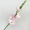 Gládiolo Artificial Estilo Europeu de 4 Pétalas, Flores Artificiais de Lírio Calla, Decorações para Hall de Hotel, Arranjos Florais para Casamento, Flores Artificiais