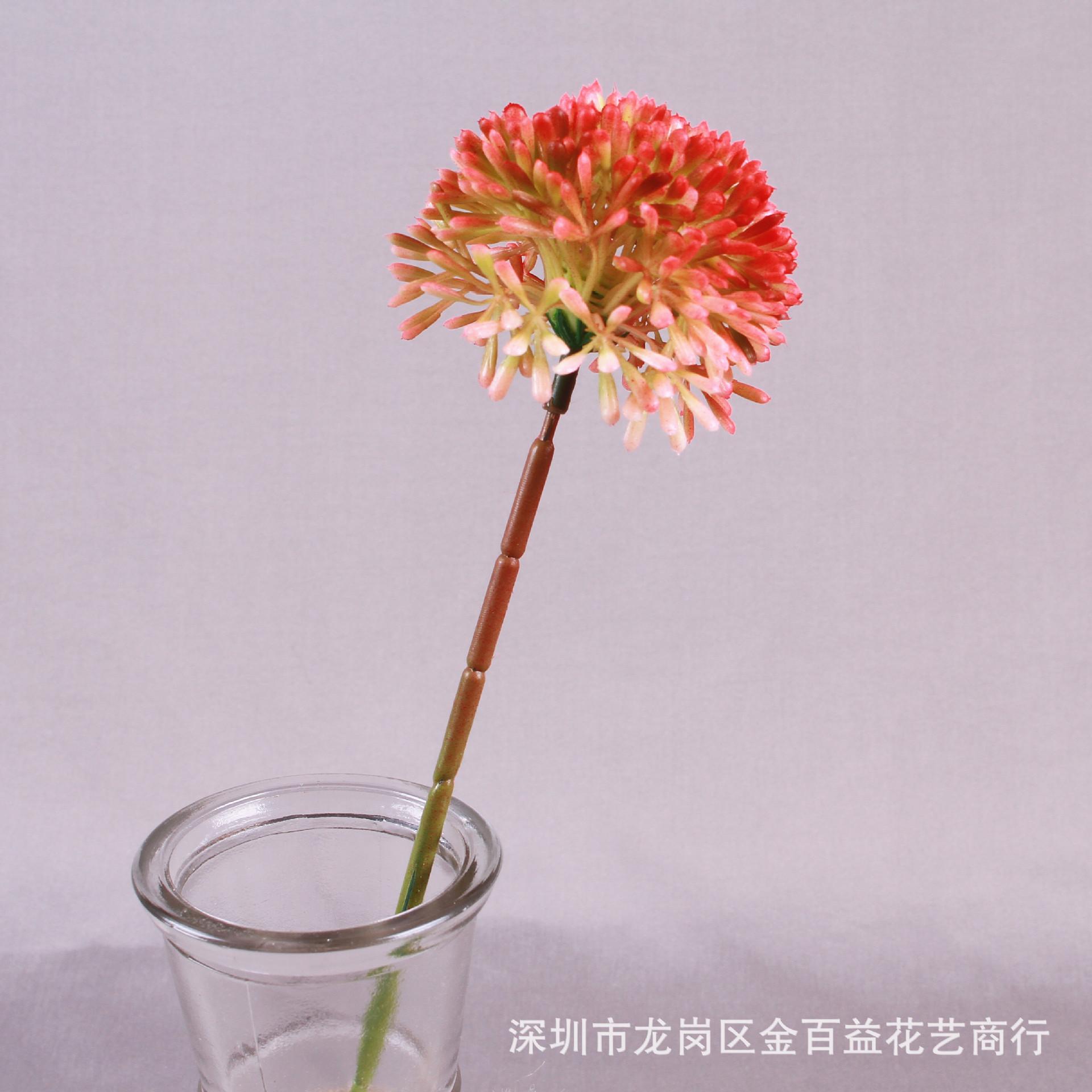 IMG_8585_副本.jpg
