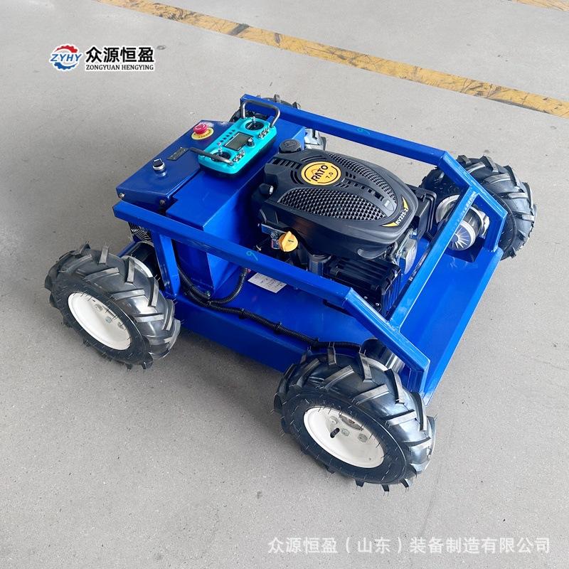 Q猎豹500头图 (3).jpg