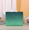 Nuevo en stock bolsa no tejida recubierta bolsa de compras portátil para ropa bolsa para llevar bolsa de estudio bolsa imprimible con logo