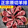 Costeletas de Cordeiro ao Estilo Francês, Costelas Tomahawk Recém-Cortadas, Cordeiro Fresco, Ingredientes para Churrasco de 2,5kg, Produtos Semi-Acabados para Uso Comercial