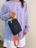 2026 Nova Bolsa de Armazenamento Estilosa de Celebridade da Internet, Bolsa Transversal Leve, Bolsa de Ombro de Verão com Combinação de Cores Dopamina, Bolsa para Celular