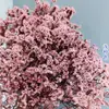 Grama de Cristal Flores Eternas Fabricante de Yunnan Atacado Copo de Vidro Materiais de Flores DIY Flores Flutuantes Materiais de Aromaterapia Transmissão ao Vivo Sala de Casamento