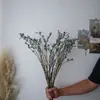 Pinha Flores Secas Artesanais Adereços de Fotografia Materiais Florais DIY Decorações para Sala de Estar Presentes de Natal