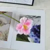 Flores Artificiales de Tulipán Realistas de Tallo Abierto de Alta Calidad, Accesorios para Sostener en la Mano, Flores Artificiales para Sala de Estar, Arreglos Florales de Seda, Decoraciones de Boda