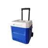 28L venta al por mayor PU incubadora coche caja conservadora barra de tiro congelador para llevar exterior plástico cubitera