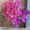 Bougainvillea Artificial de Haste Única para Exportação Atacado, Decoração de Parede Externa para Hotel, Flores para Arranjo de Decoração de Cena de Casamento