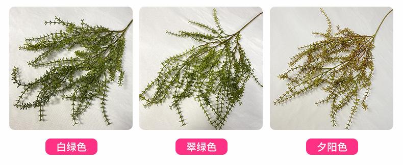 产品颜色-(1).jpg