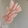 Ramo de cola de conejo y hierba seca de Yunnan, venta al por mayor, material de embalaje para ramo de cola de conejo y hierba seca.