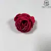 Estoque Disponível Fornecimento Cabeça de Flor de Peônia 9cm Decoração de Caixa de Presente DIY Transfronteiriça Parede de Flores de Casamento Decoração de Fotografia Doméstica