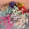 Plástico Macio Gipsofila Artificial Flores Falsas Casamento Decoração de Casa Arranjo de Flores DIY Flores de Seda Pequena Decoração Fresca Atacado Pronta Entrega