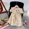 Vestido Infantil com Babados Bordados de Morango 2026 Verão Novo Estampa de Frutas Manga Curta Vestido Boneca Infantil
