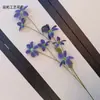 Nuevas Flores Artificiales de Clemátide de 7 Cabezas en Stock, Arte Floral para el Hogar, Decoración de Camino de Boda, Adornos de Flores Artificiales para el Hogar