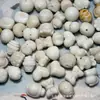 Acessórios de Frutas Marfim Defeituosos, Artesanato em Forma de Coelho e Lingote, Pulseiras Feitas à Mão DIY, Joias da Moda