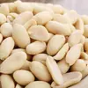 Cacahuates Pelados Nuevos, Cacahuates Enteros Pelados, Ingredientes Crujientes de Copo de Nieve Triturado 500g