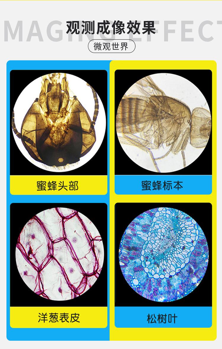 显微镜_11