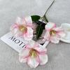 Simulación de Producto Nuevo Transfronterizo 3 Tulipanes Estudio de Cine de Boda Diseño de Hotel Flores Hechas a Mano Adornos de Decoración para el Hogar Flores Secas