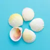 Pisos de Conchas Naturales, Conchas Pequeñas Hechas a Mano, Caracoles, Varios Pegatinas de Pared y Piso para Acuarios, Decoraciones, Muebles para el Hogar