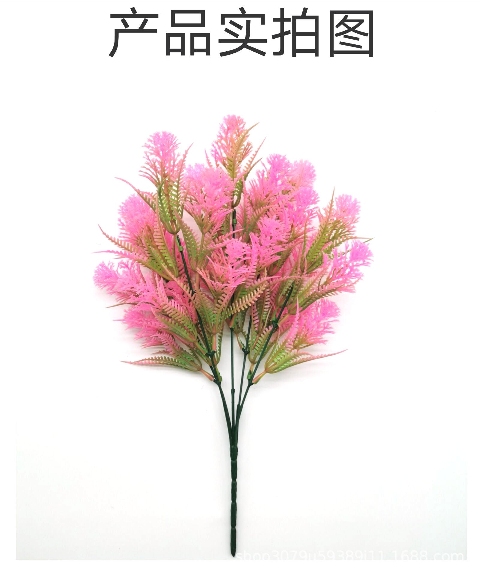 QQ图片20200622124143.png